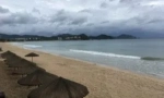 Opasnost na plaži - pješčane buhe